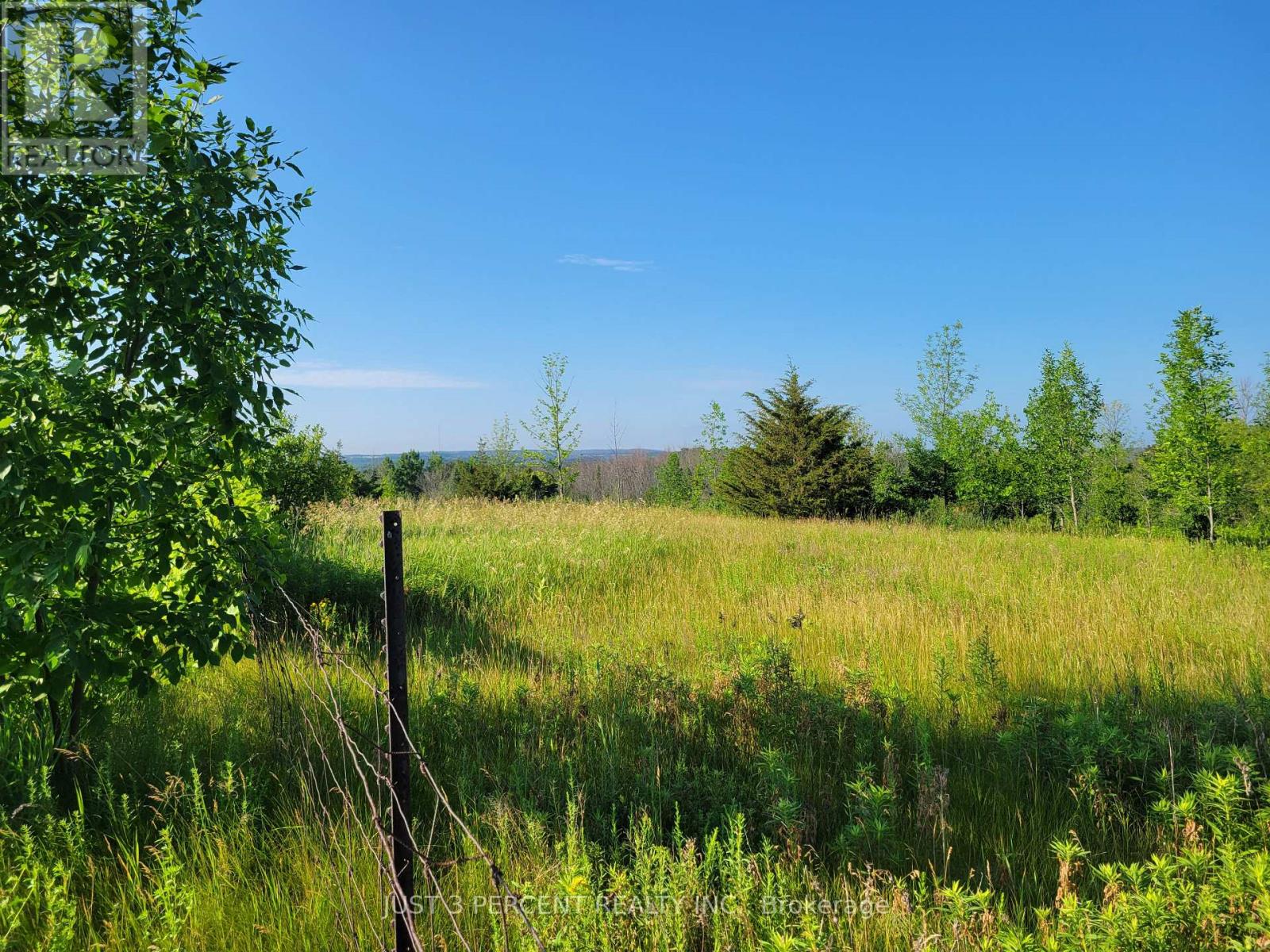 0 Curtis Point Road, Alnwick/haldimand, Ontario  K0K 2X0 - Photo 5 - X11889763