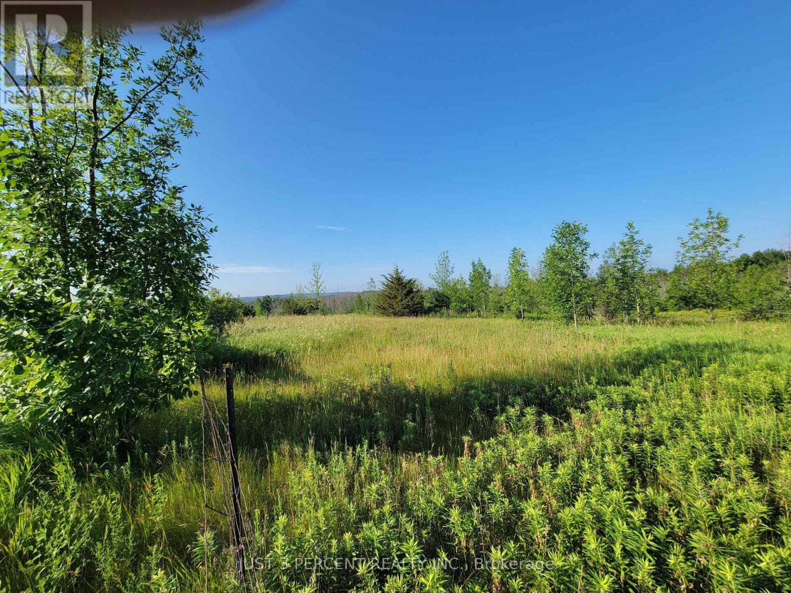 0 Curtis Point Road, Alnwick/haldimand, Ontario  K0K 2X0 - Photo 7 - X11889763
