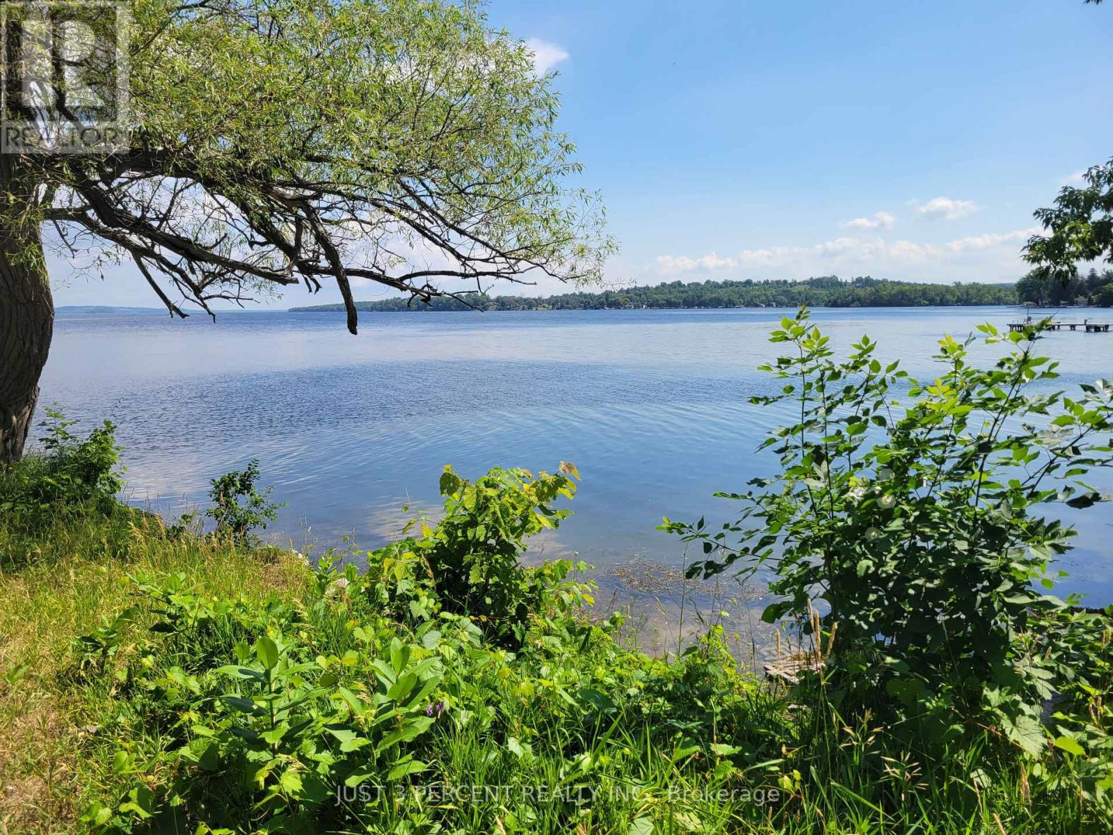 0 Curtis Point Road, Alnwick/haldimand, Ontario  K0K 2X0 - Photo 9 - X11889763