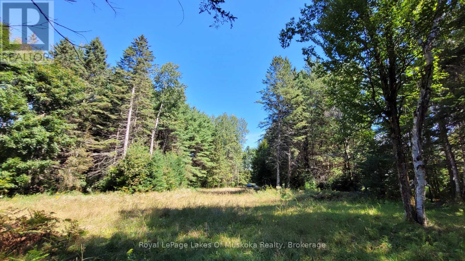 1059 Ablett Court, Algonquin Highlands, Ontario  K0M 1J0 - Photo 10 - X11889760