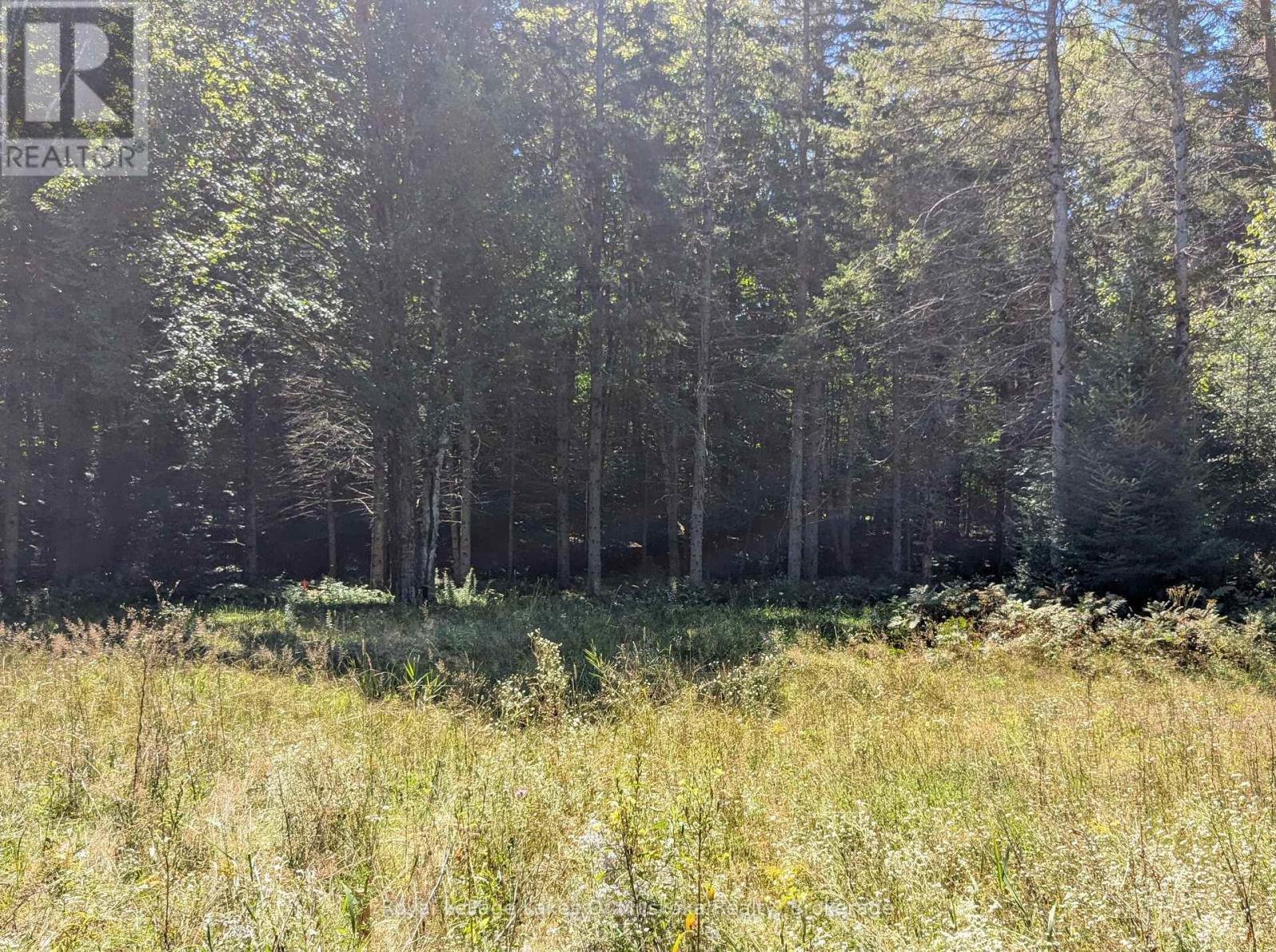 1059 Ablett Court, Algonquin Highlands, Ontario  K0M 1J0 - Photo 12 - X11889760