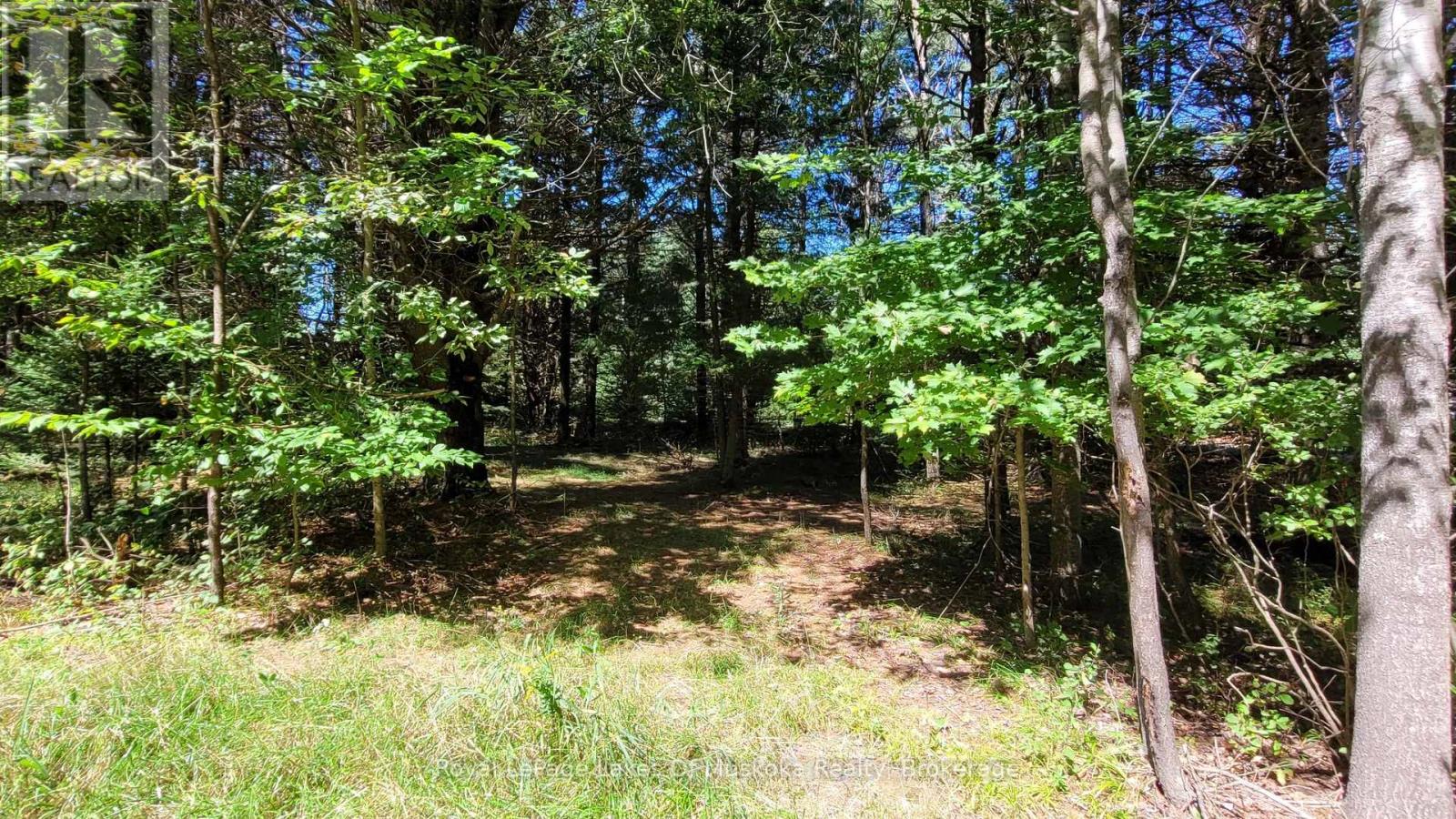 1059 Ablett Court, Algonquin Highlands, Ontario  K0M 1J0 - Photo 4 - X11889760