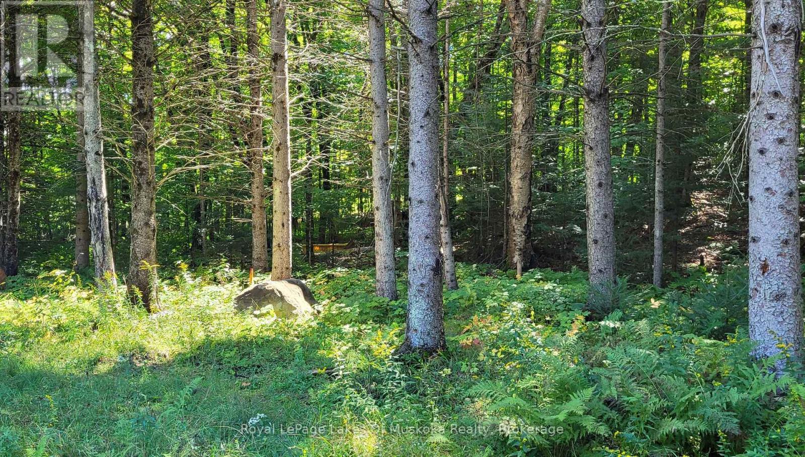 1059 Ablett Court, Algonquin Highlands, Ontario  K0M 1J0 - Photo 9 - X11889760