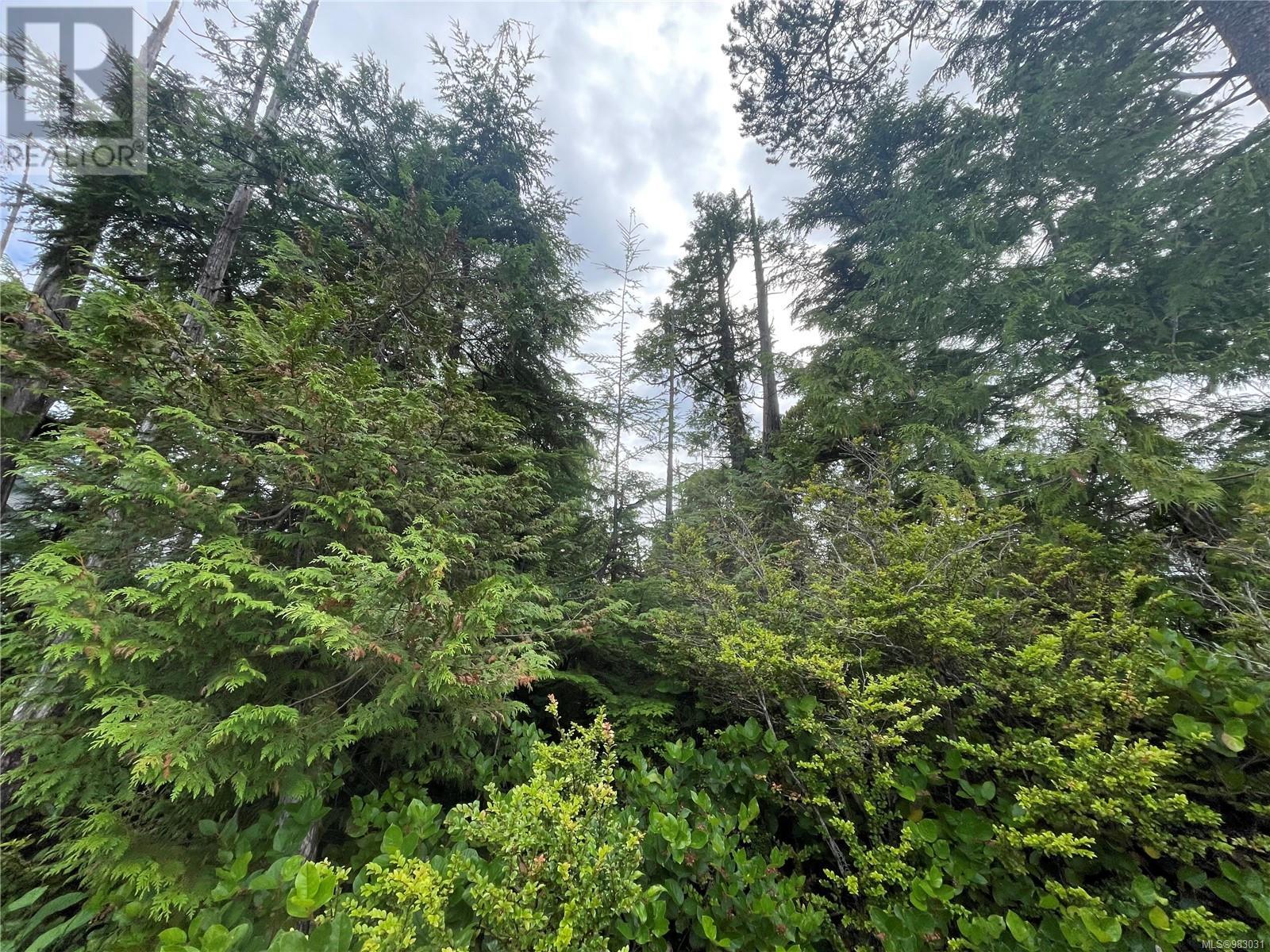 Property at LOT 40 CEDAR GROVE Pl image 2