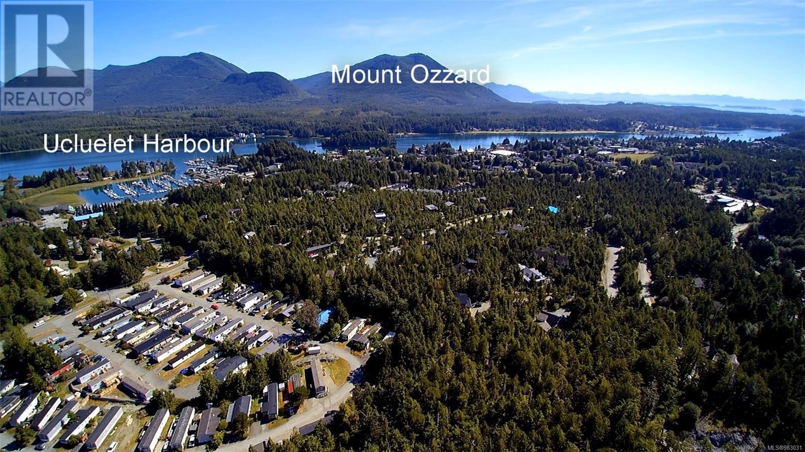 Lot 40 Cedar Grove Pl, Ucluelet, British Columbia  V0R 3A0 - Photo 6 - 983031