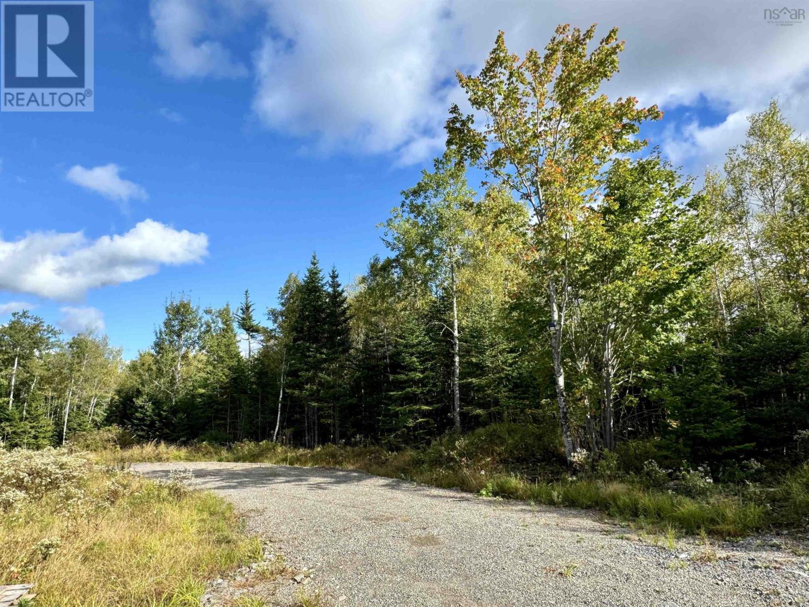 Lot 1 & 2 Moose Lane, Upper Nine Mile River, Nova Scotia  B2S 0C1 - Photo 4 - 202423574