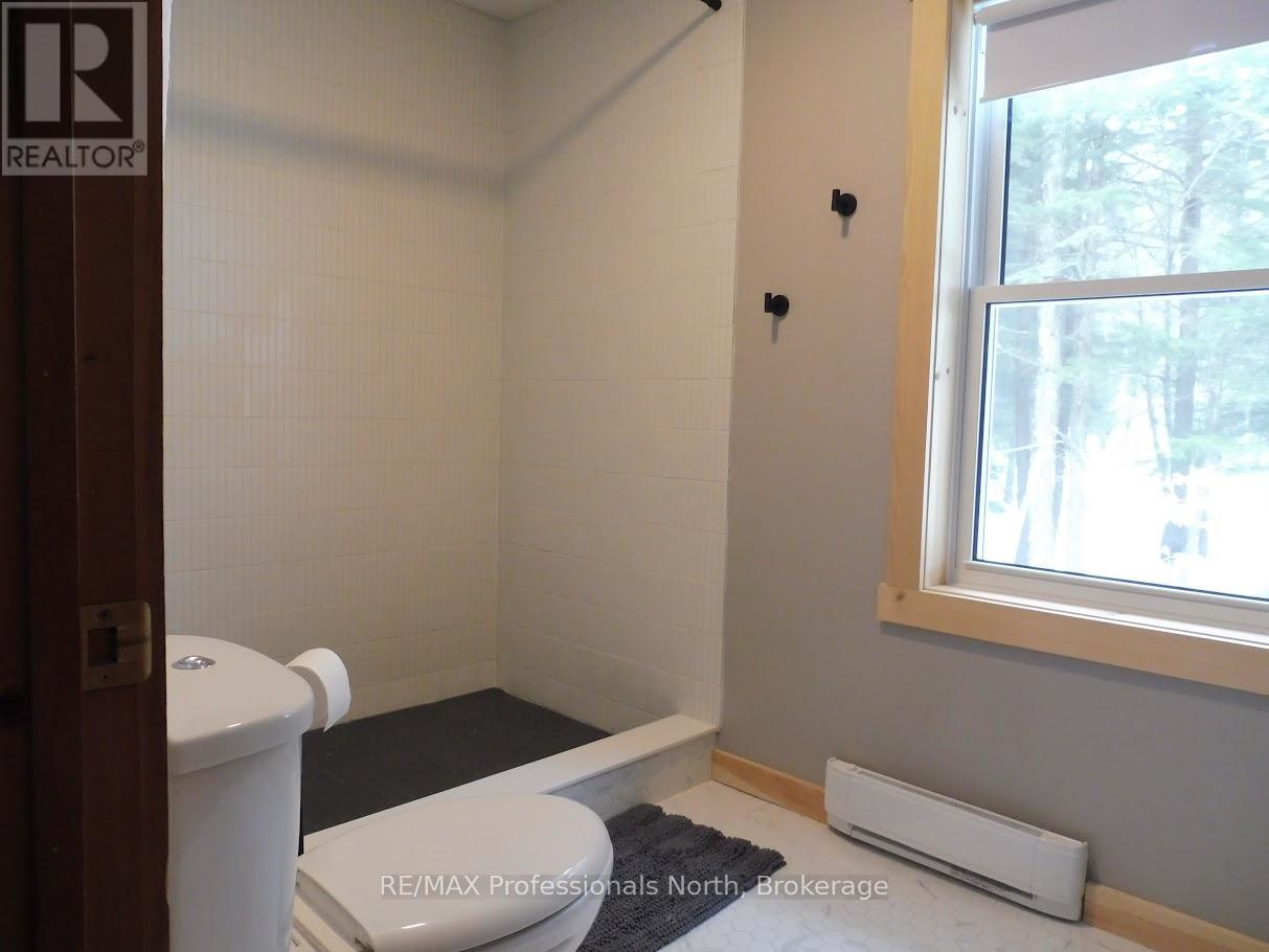1001 Hemlock Road, Lake Of Bays, Ontario  P1H 2J6 - Photo 39 - X10437845