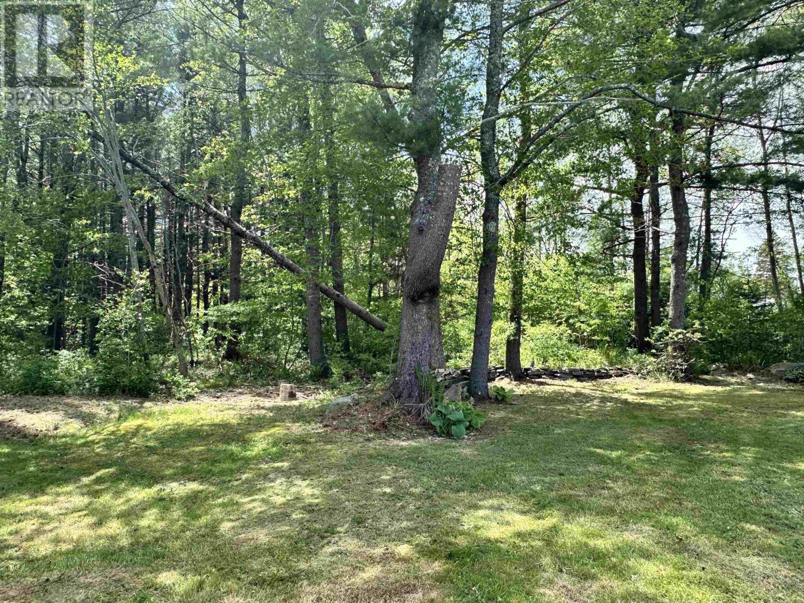 83 Glenwood Street, Milton, Nova Scotia  B0T 1P0 - Photo 3 - 202428173