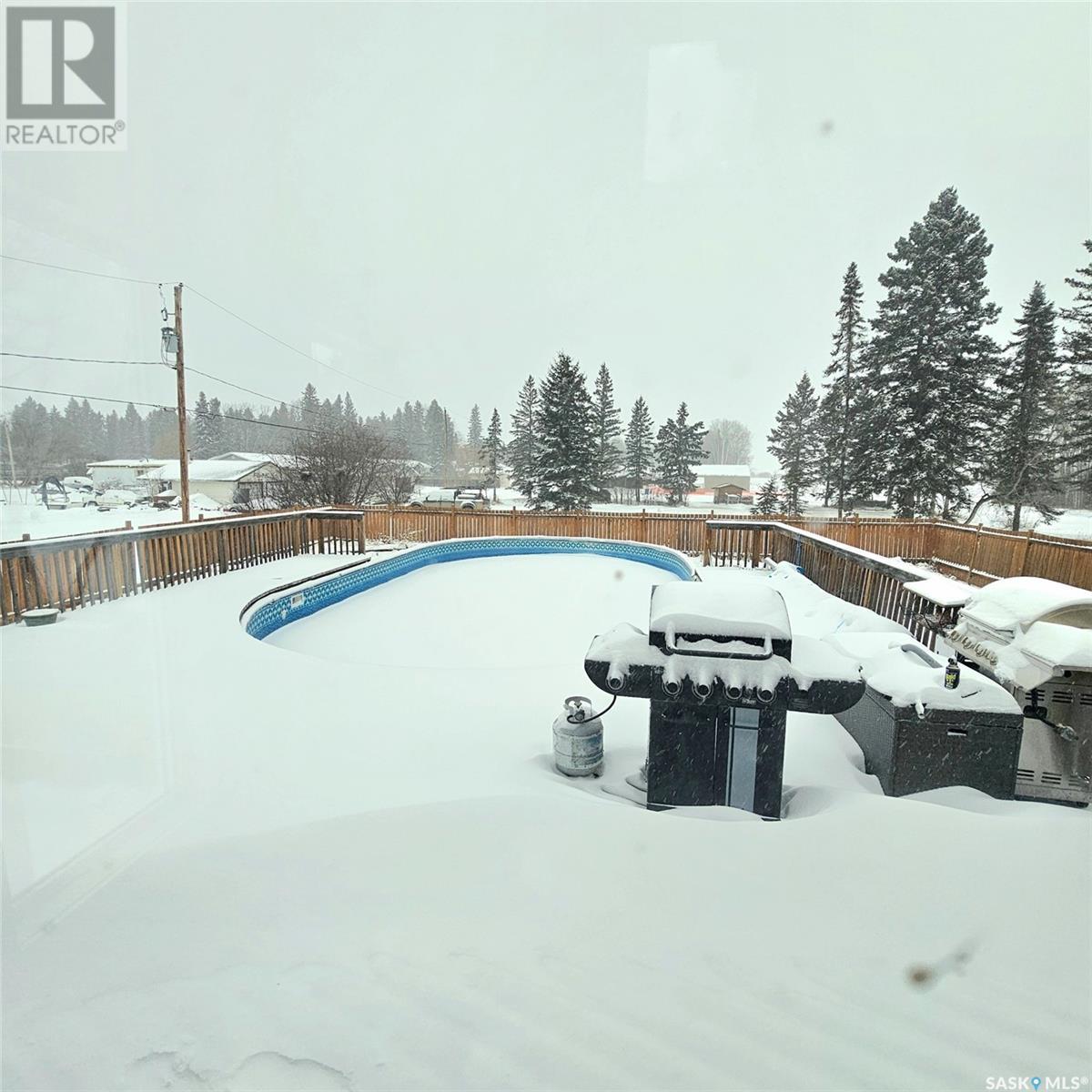201 7th Street E, Choiceland, Saskatchewan  S0J 0M0 - Photo 33 - SK990492