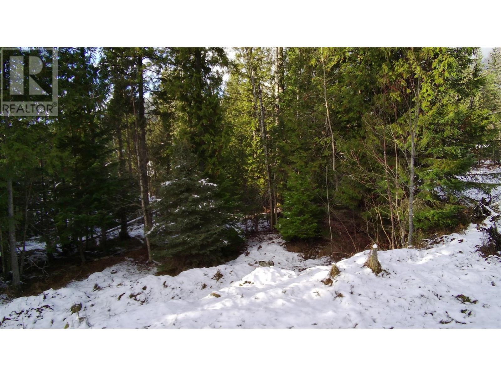 Lot 41 # Selkirk Road Road, Crawford Bay, British Columbia  V0B 1E0 - Photo 4 - 10330196