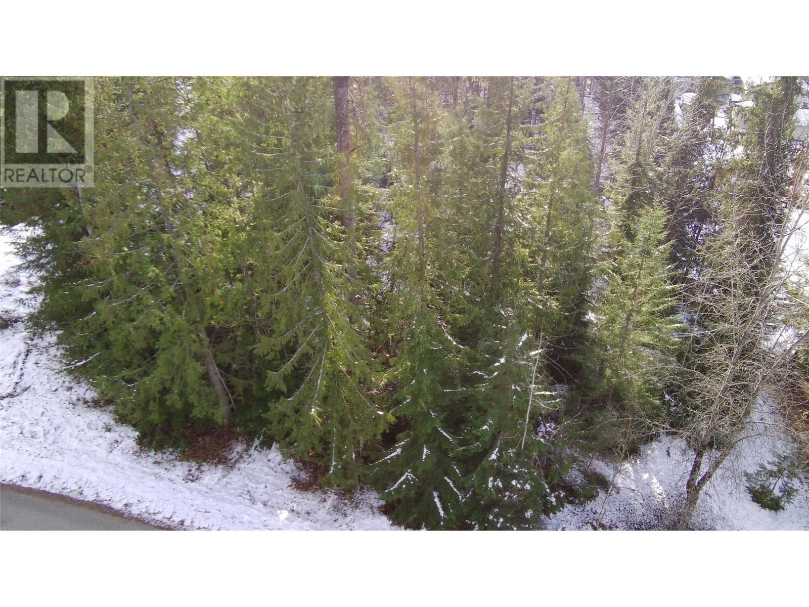 Lot 41 # Selkirk Road Road, Crawford Bay, British Columbia  V0B 1E0 - Photo 7 - 10330196