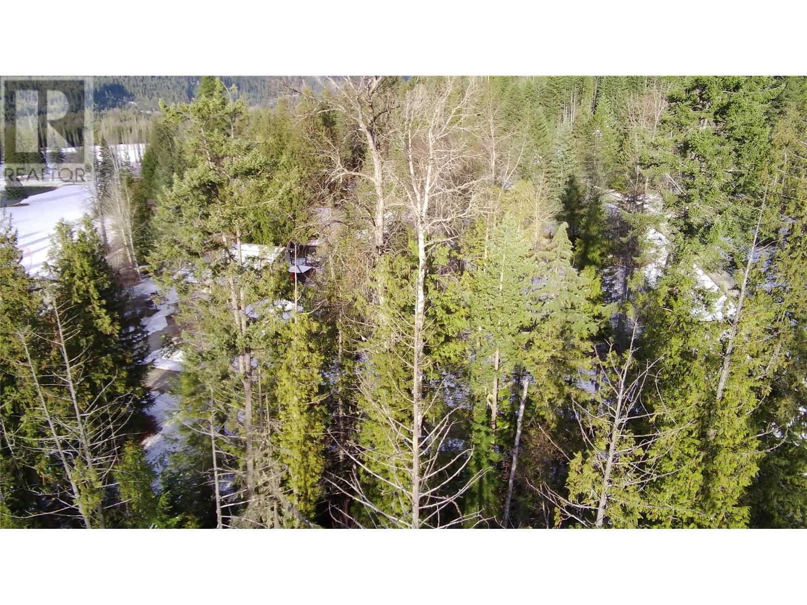 Lot 41 # Selkirk Road Road, Crawford Bay, British Columbia  V0B 1E0 - Photo 17 - 10330196