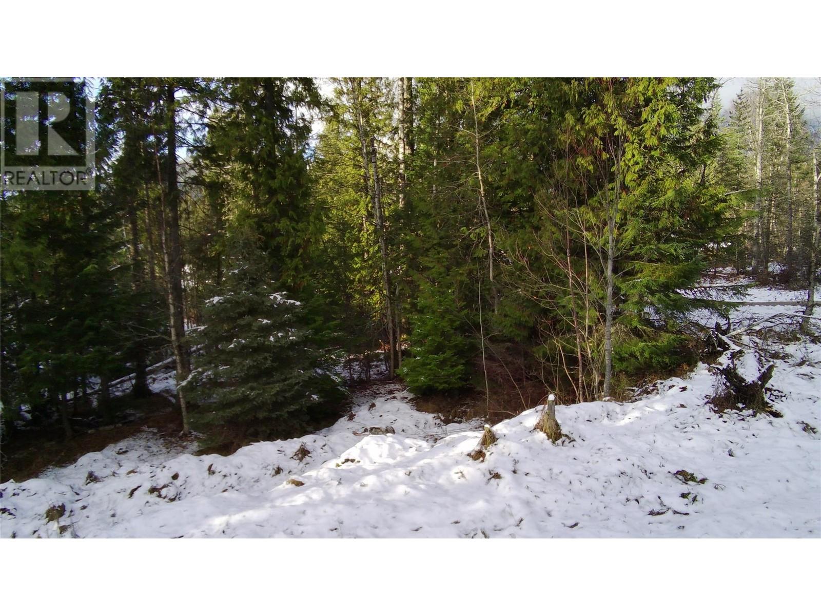 Lot 41 # Selkirk Road Road, Crawford Bay, British Columbia  V0B 1E0 - Photo 5 - 10330196