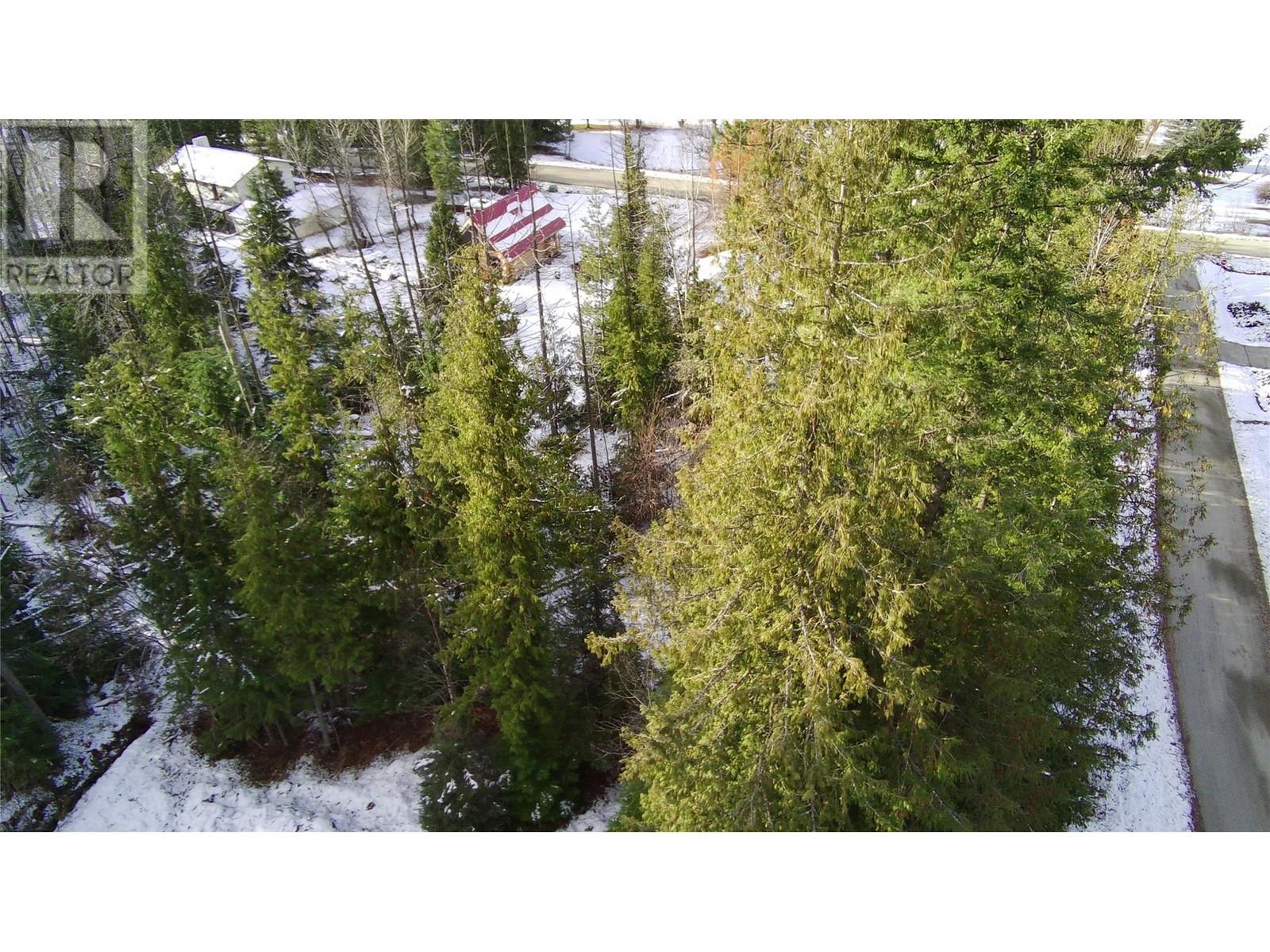 Lot 41 # Selkirk Road Road, Crawford Bay, British Columbia  V0B 1E0 - Photo 13 - 10330196