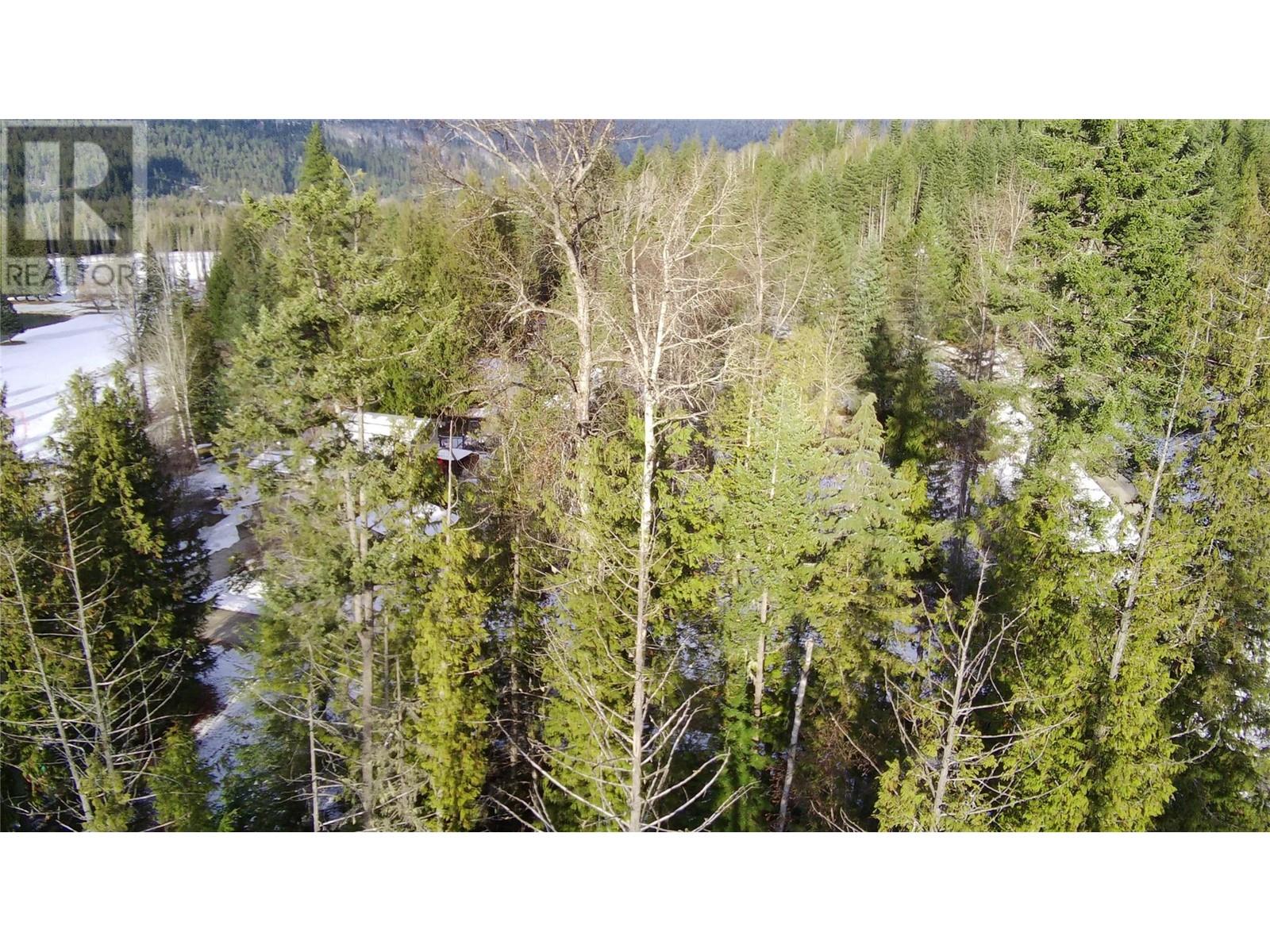 Lot 41 # Selkirk Road Road, Crawford Bay, British Columbia  V0B 1E0 - Photo 15 - 10330196