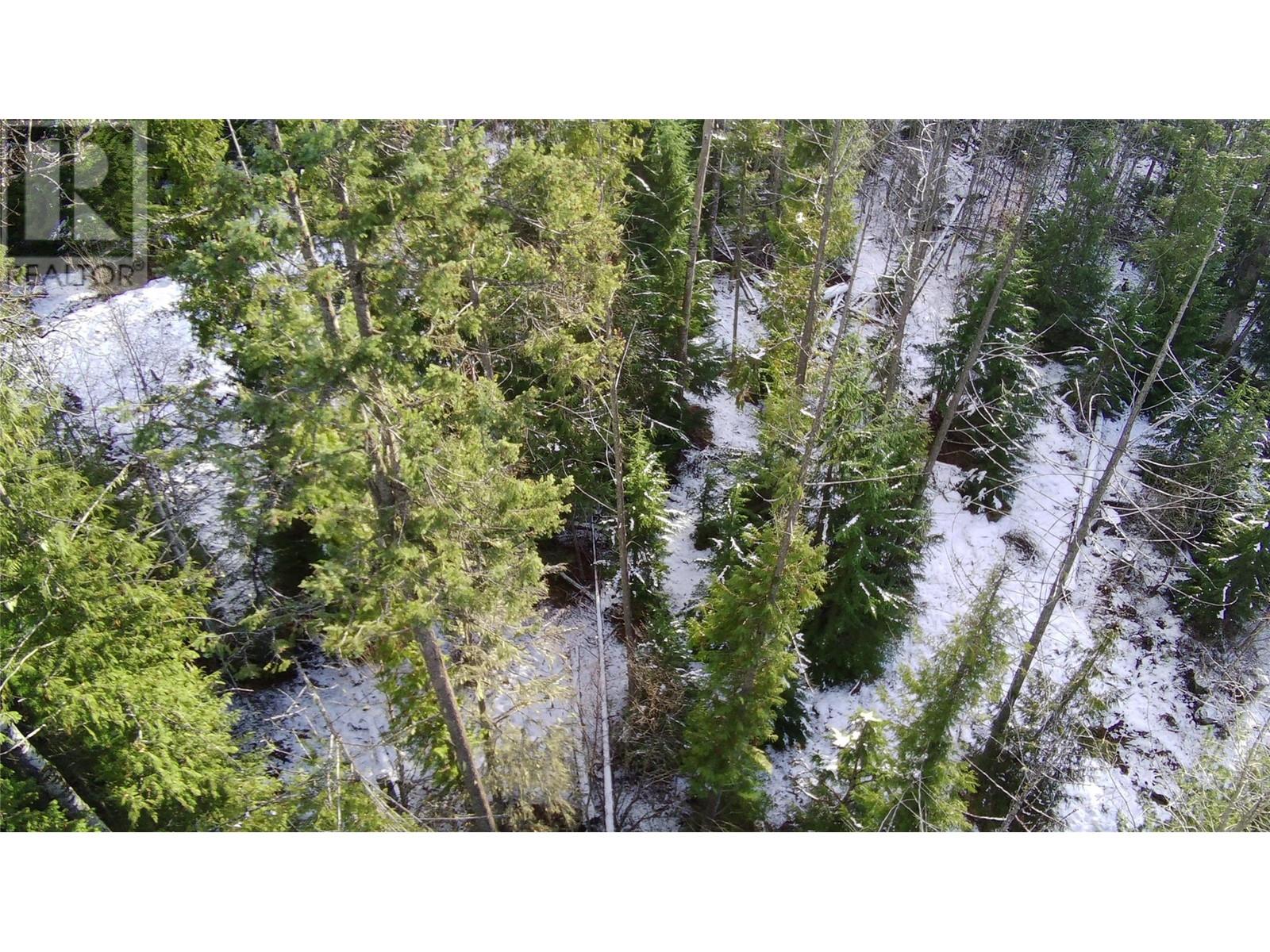 Lot 41 # Selkirk Road Road, Crawford Bay, British Columbia  V0B 1E0 - Photo 16 - 10330196