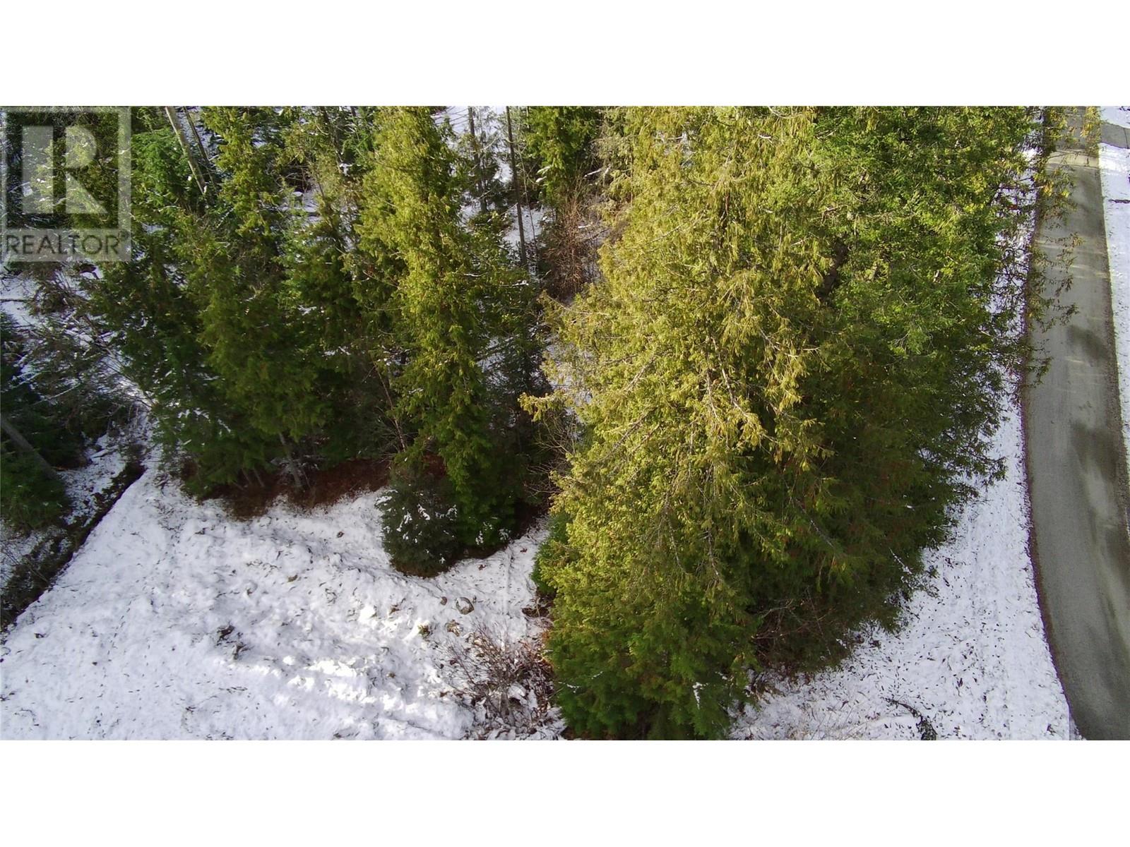 Lot 41 # Selkirk Road Road, Crawford Bay, British Columbia  V0B 1E0 - Photo 8 - 10330196