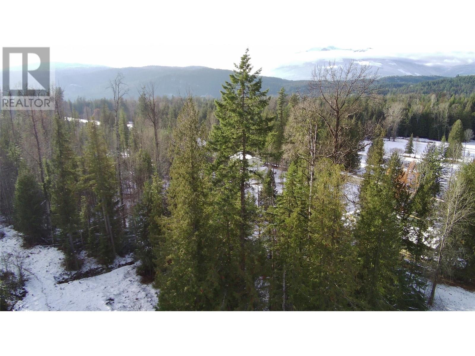 Lot 41 # Selkirk Road Road, Crawford Bay, British Columbia  V0B 1E0 - Photo 2 - 10330196