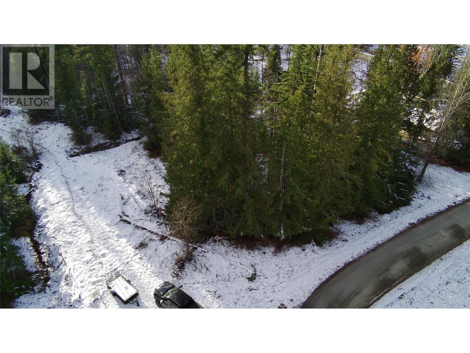 Lot 41 # Selkirk Road Road, Crawford Bay, British Columbia V0B 1E0 - Photo 1 - 10330196