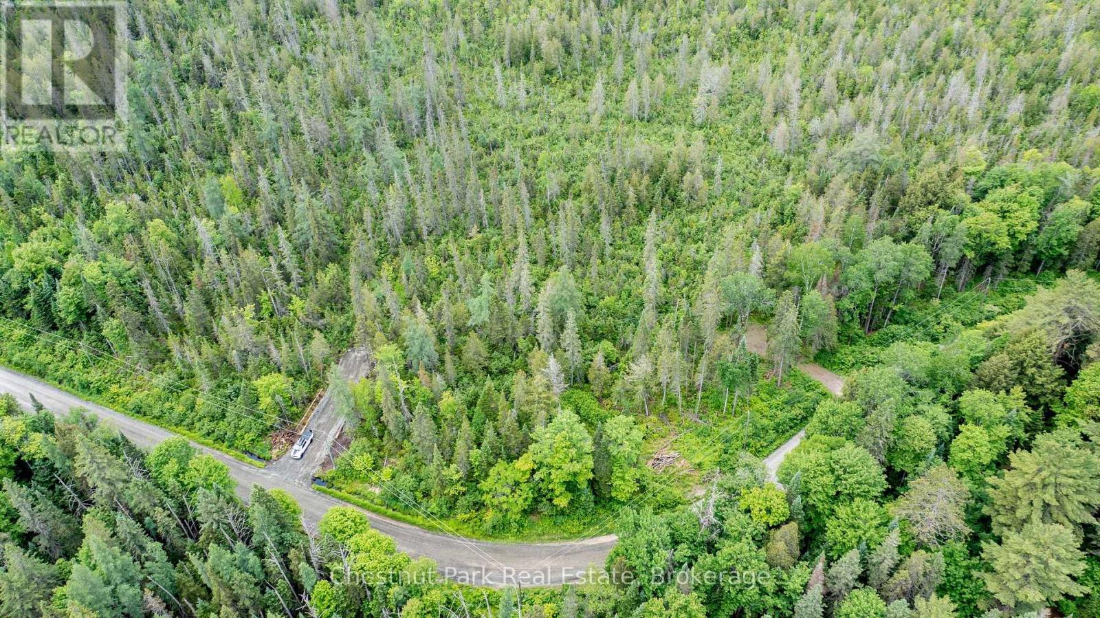 1022 Thompson Road, Bracebridge, Ontario  P1L 1X1 - Photo 10 - X11890416