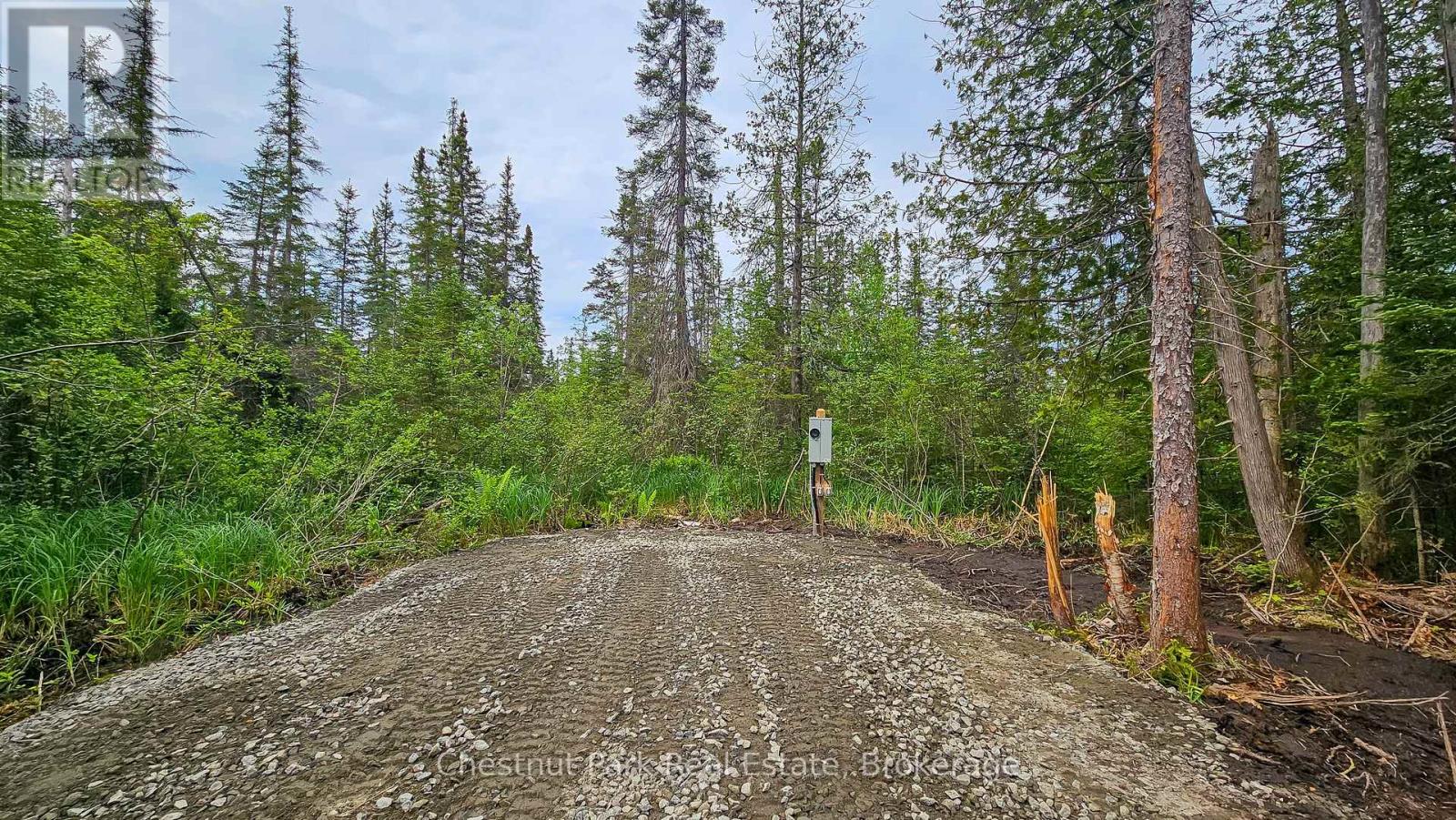 1022 Thompson Road, Bracebridge, Ontario  P1L 1X1 - Photo 4 - X11890416