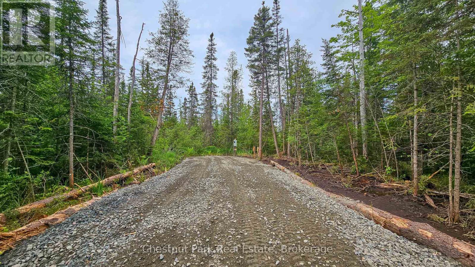 1022 Thompson Road, Bracebridge, Ontario  P1L 1X1 - Photo 5 - X11890416