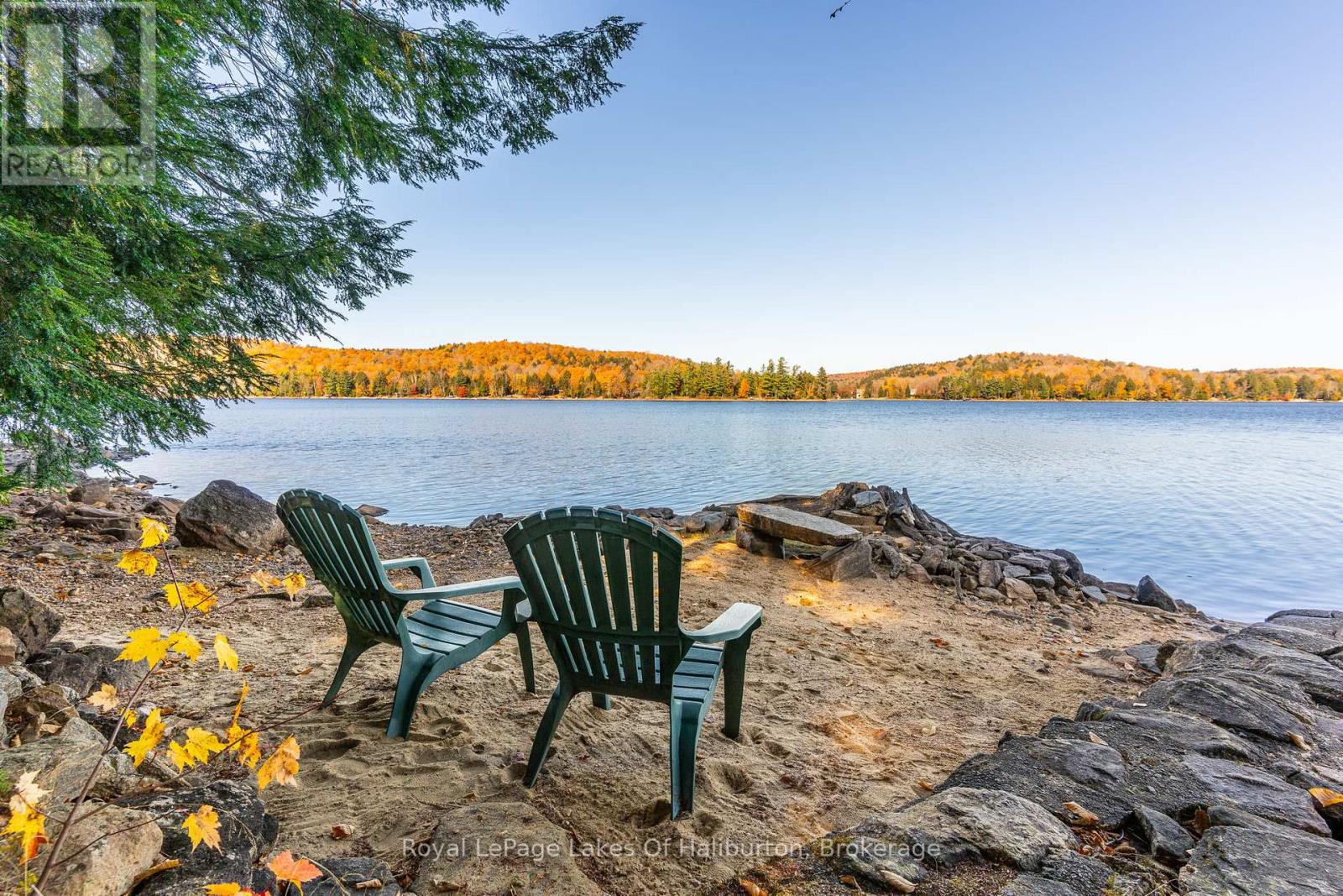 1017 Palace Drive, Dysart Et Al, Ontario  K0M 1S0 - Photo 4 - X11890380