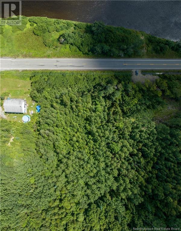 Lot Route 148, Durham Bridge, New Brunswick  E6C 2E1 - Photo 5 - NB110257
