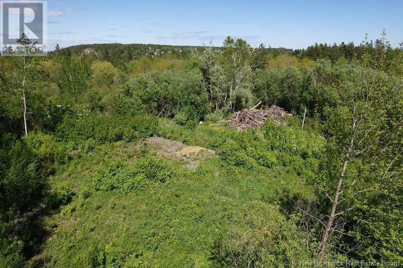 776 Route, Grand Manan, New Brunswick  E5G 1A4 - Photo 5 - NB110273