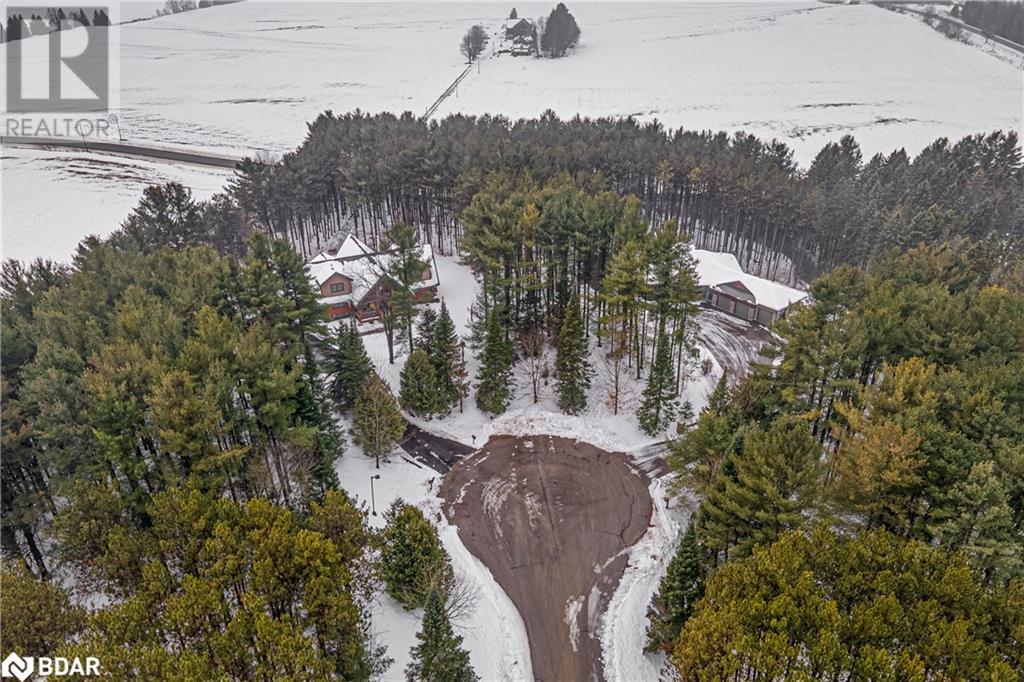 11 Nevis Ridge Drive, Oro-Medonte, Ontario  L0L 1T0 - Photo 34 - 40683805