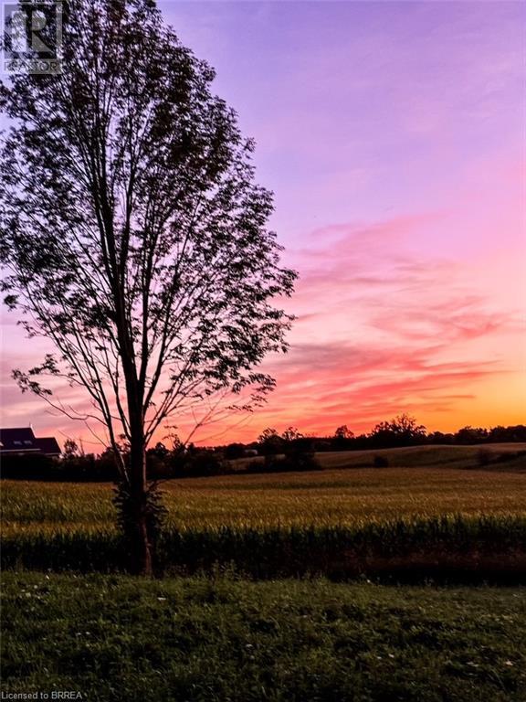 205 Brant Church Road, Mount Pleasant, Ontario  N0E 1K0 - Photo 20 - 40684995