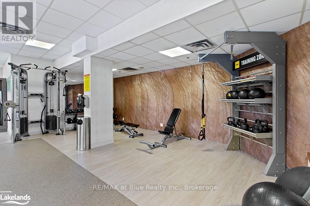 315 - 220 Gord Canning Drive, Blue Mountains, Ontario  L9Y 0K9 - Photo 38 - X10440172