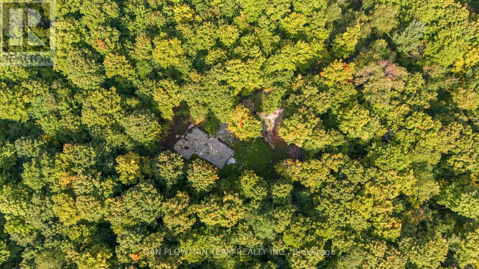 Lot 109 Basshaunt Lake Road, Dysart Et Al, Ontario  K0M 1M0 - Photo 1 - X11891063