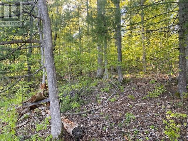 3519 County Rd 3 Road, Leeds & The Thousand Islands, Ontario  K0E 1N0 - Photo 23 - X11891125