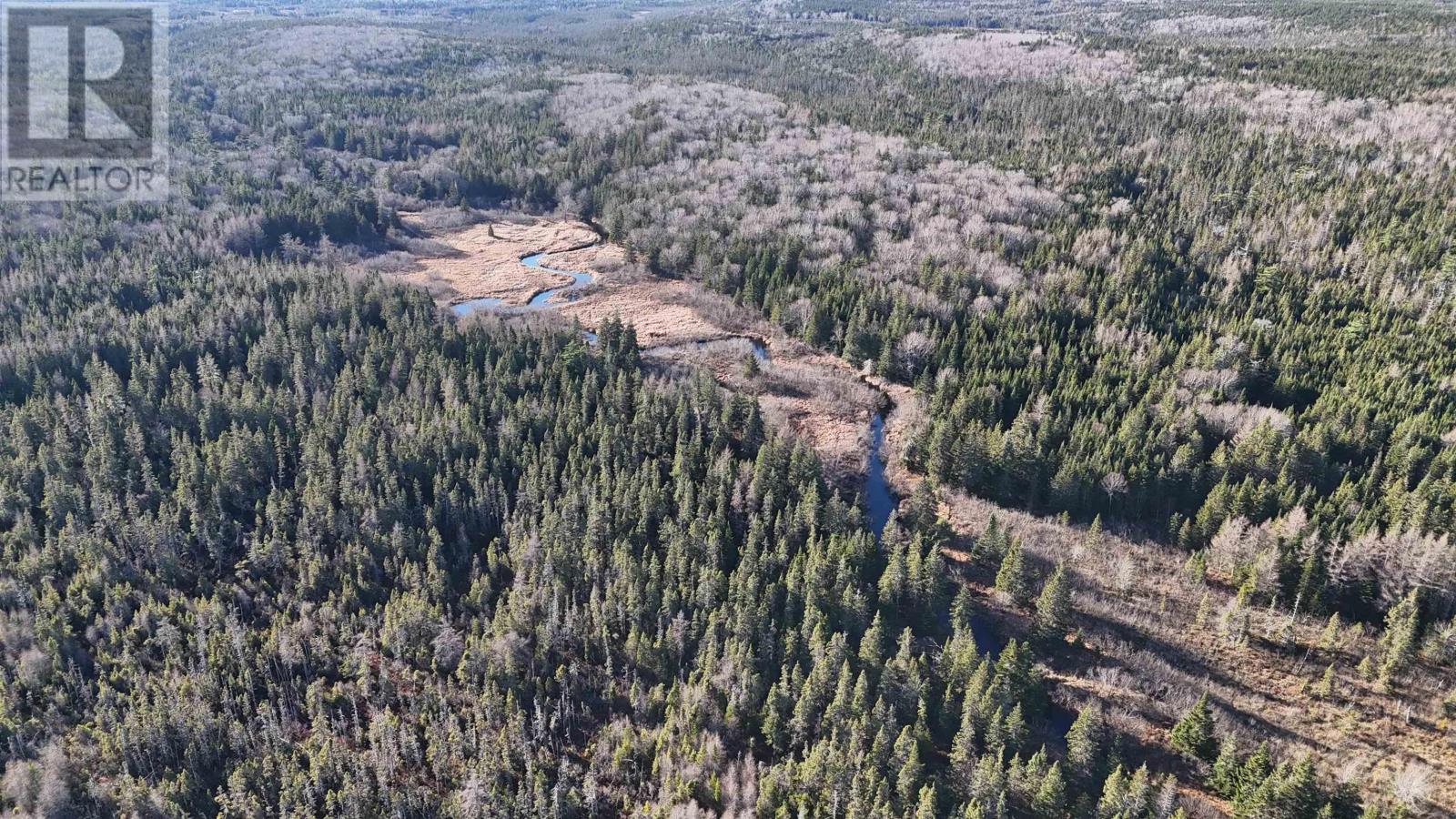 Salmon River Road, Enon, Nova Scotia  B1J 1X6 - Photo 11 - 202427993