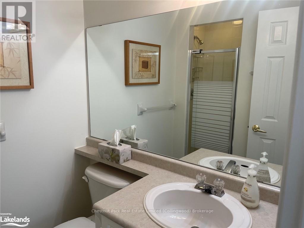 684 Johnston Park Avenue, Collingwood, Ontario  L9Y 5C7 - Photo 18 - S10435077