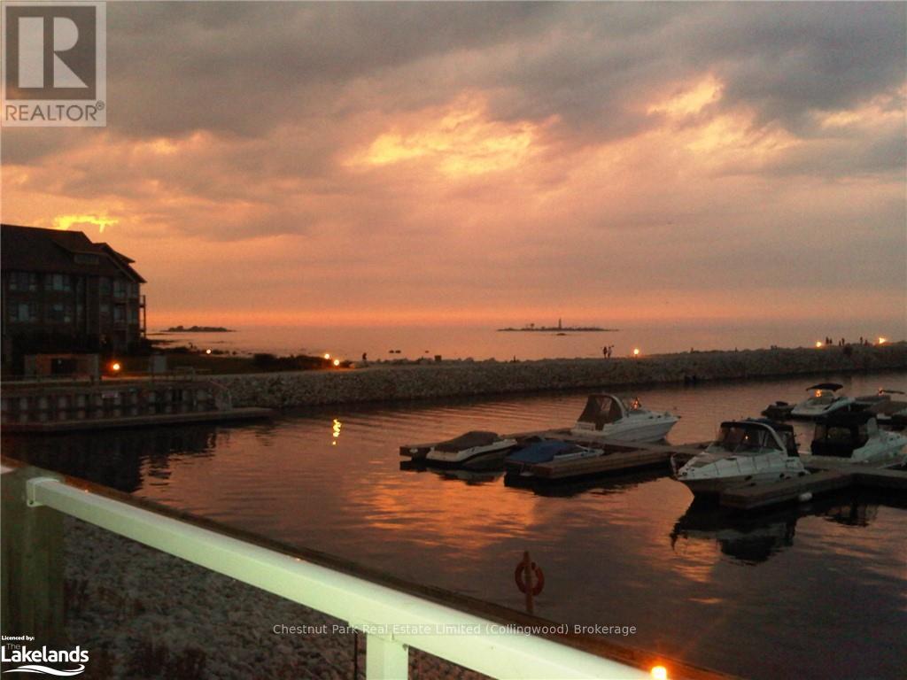 684 Johnston Park Avenue, Collingwood, Ontario  L9Y 5C7 - Photo 30 - S10435077