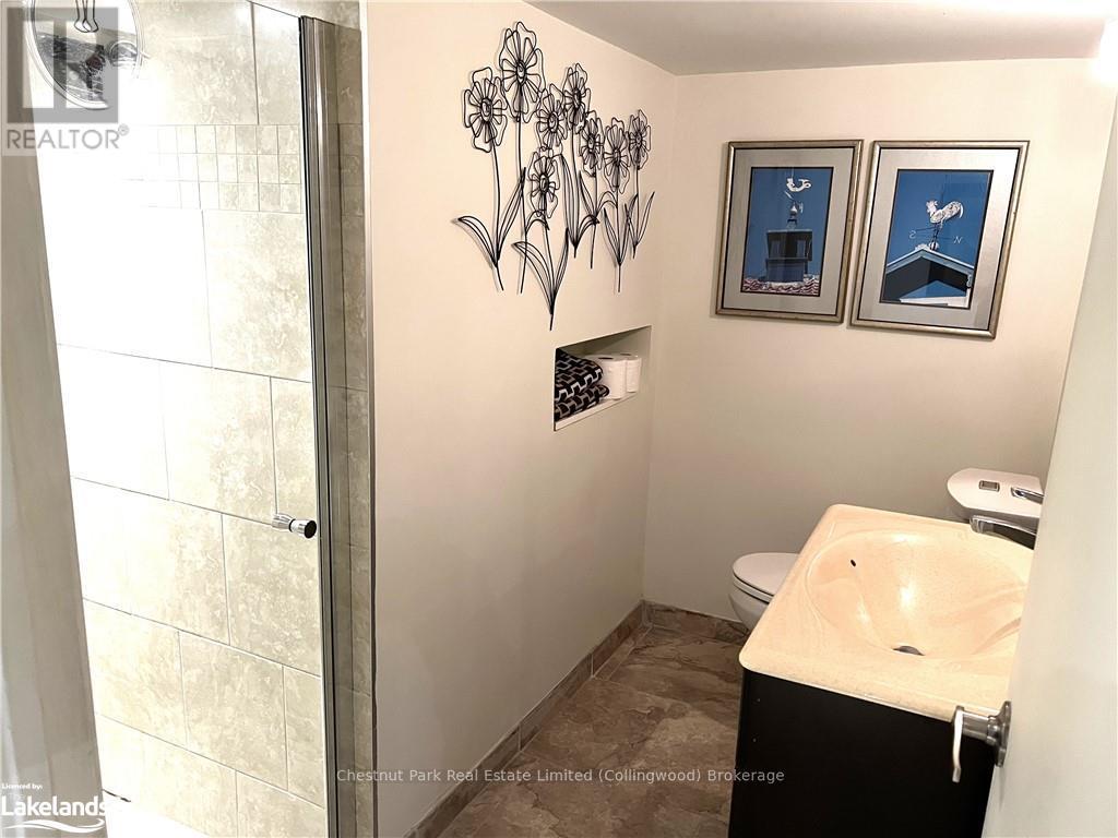 249 Pine Street, Collingwood, Ontario  L9Y 2P3 - Photo 25 - S10436097