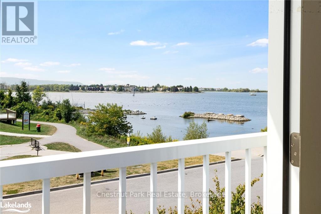 3 North Maple Street, Collingwood, Ontario  L9Y 0J7 - Photo 24 - S10437839