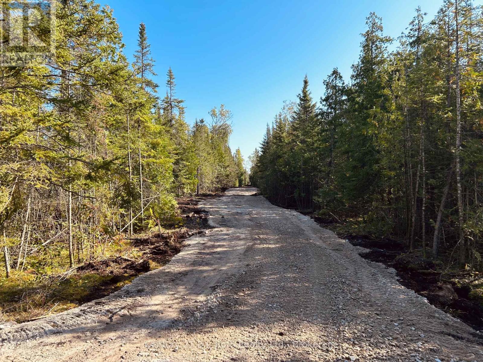 155 Bradley Drive, Northern Bruce Peninsula, Ontario  N0H 1Z0 - Photo 3 - X11890968
