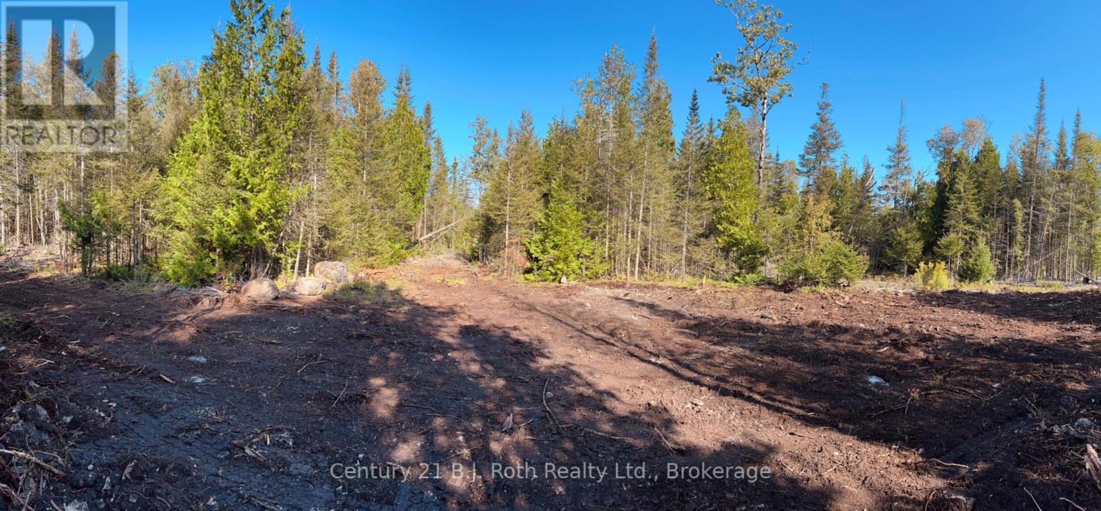 155 Bradley Drive, Northern Bruce Peninsula, Ontario  N0H 1Z0 - Photo 5 - X11890968