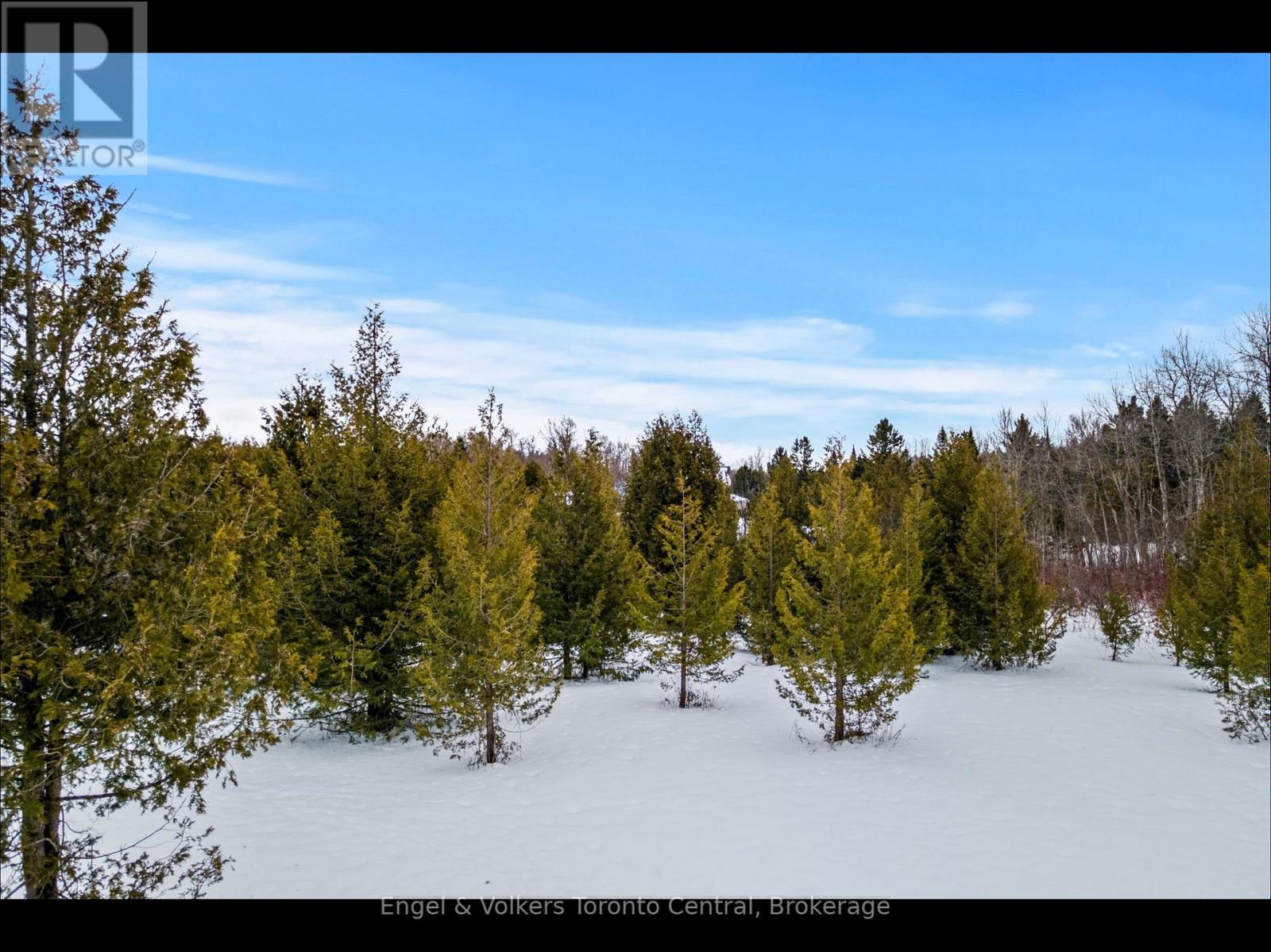 429570 8th B Concession Road, Grey Highlands, Ontario  N0C 1M0 - Photo 11 - X11891186