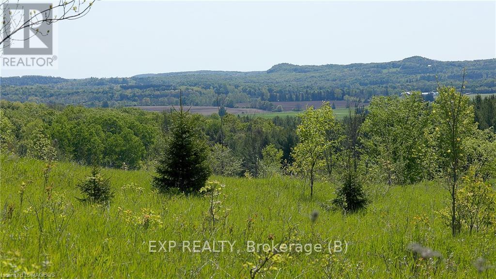 557329 4th S, Meaford, Ontario  N0H 1E0 - Photo 13 - X10845954