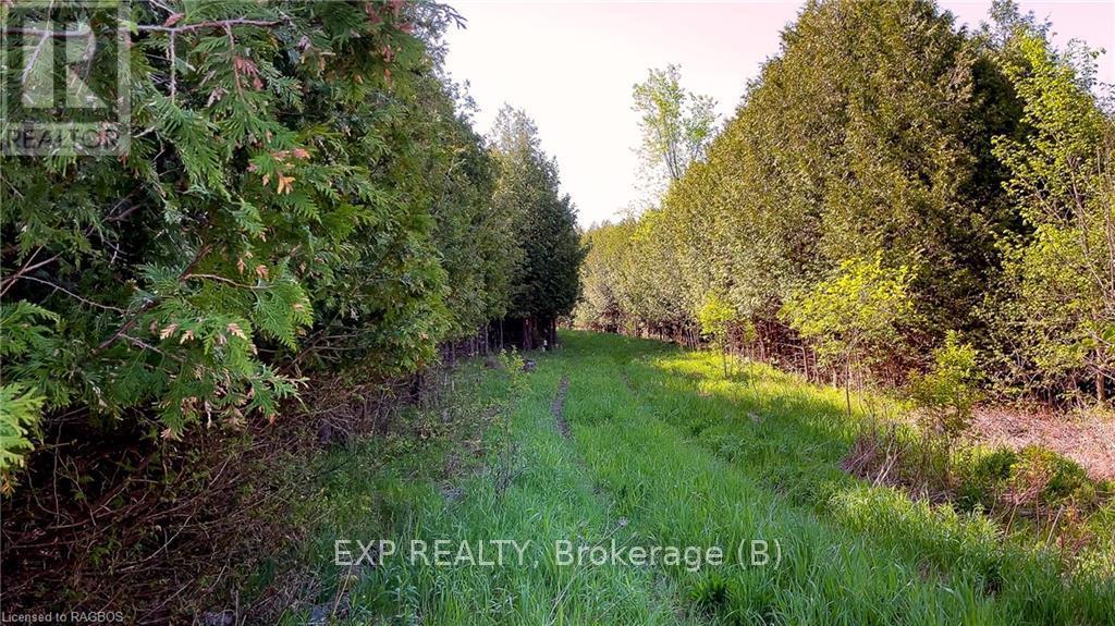 557329 4th S, Meaford, Ontario  N0H 1E0 - Photo 7 - X10845954