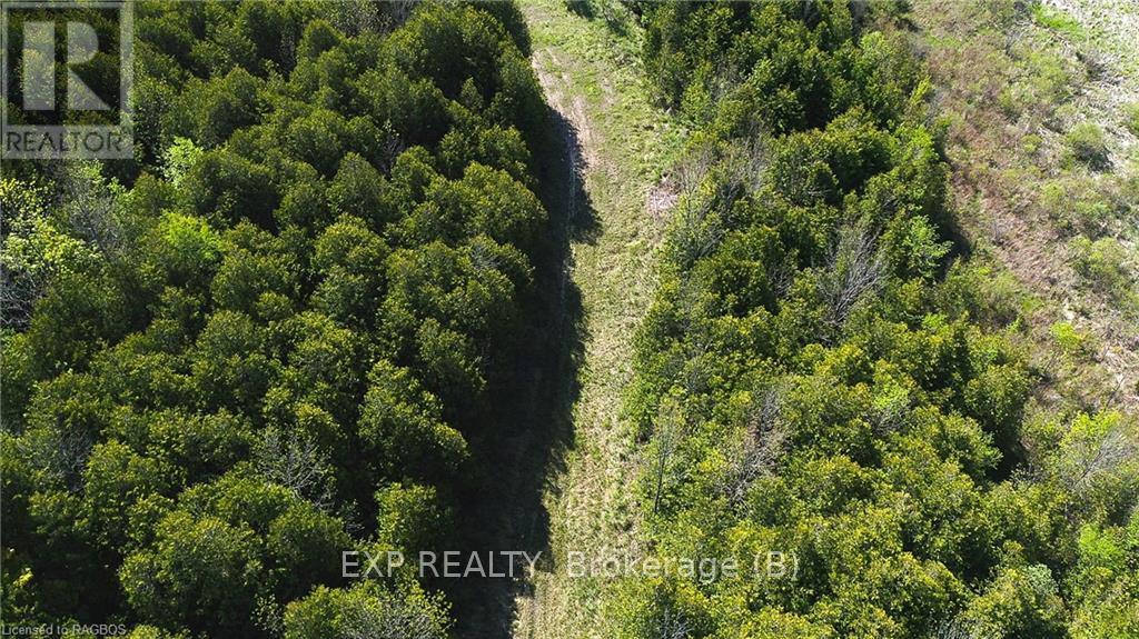 557329 4th S, Meaford, Ontario  N0H 1E0 - Photo 8 - X10845954