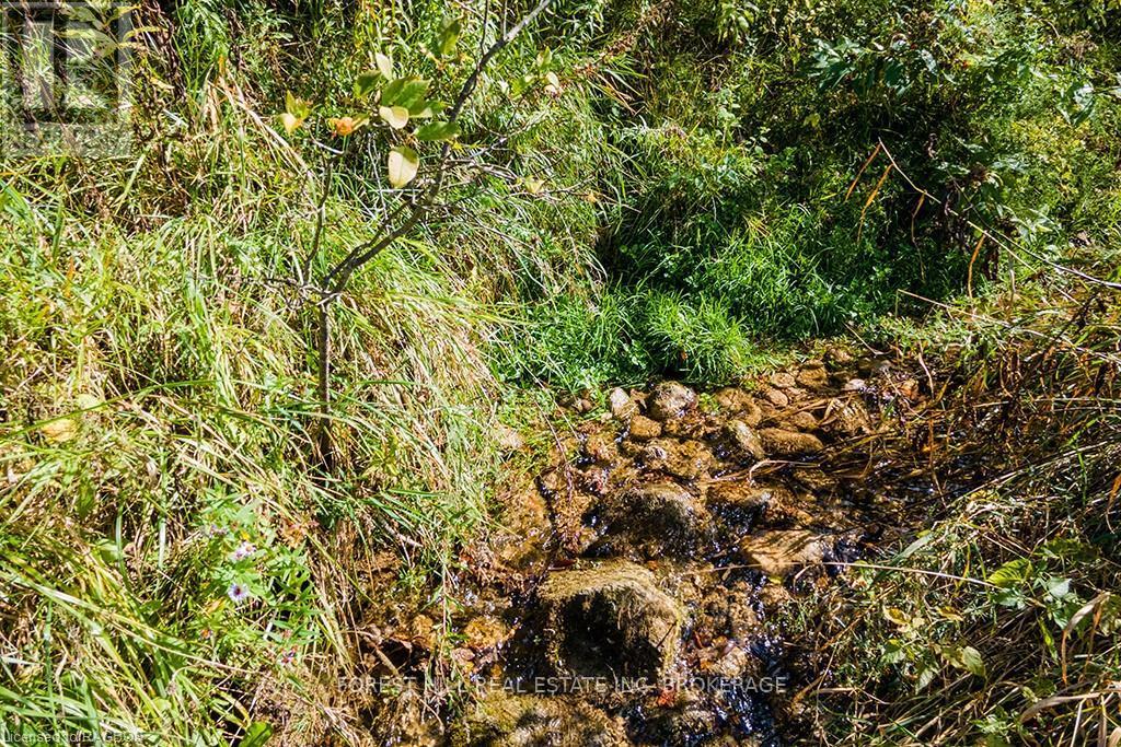 Ptlt3 2, Meaford, Ontario  N0H 1E0 - Photo 13 - X10846383