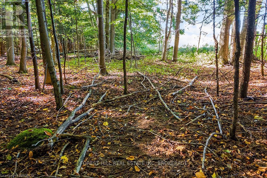 Ptlt3 2, Meaford, Ontario  N0H 1E0 - Photo 19 - X10846383