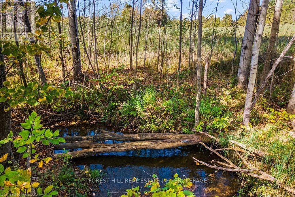 Ptlt3 2, Meaford, Ontario  N0H 1E0 - Photo 26 - X10846383