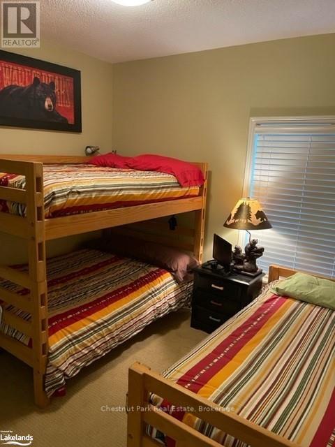 850 Suncrest Circle, Collingwood, Ontario  L9Y 5C7 - Photo 16 - S10894322