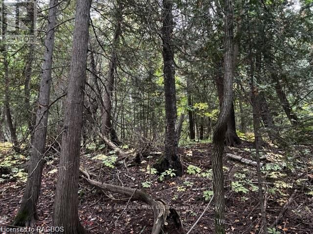 5 Shore Road, Saugeen Shores, Ontario  N0H 2L0 - Photo 2 - X10846413
